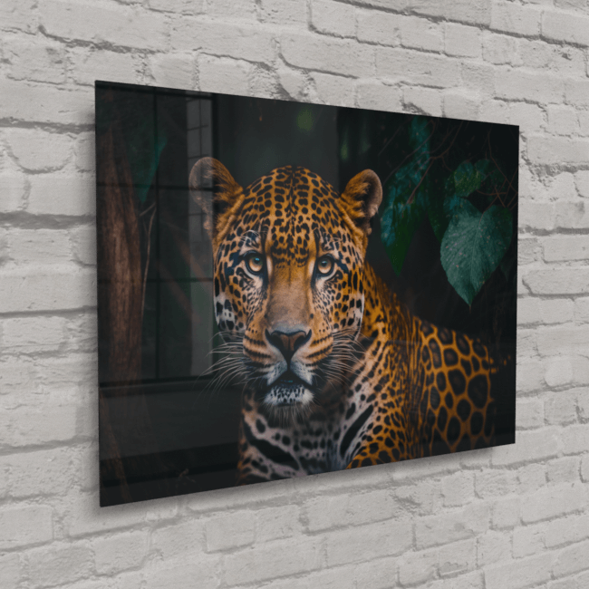 Spotted Stealth - Acrylic Prints, Photos Prints on Metal and Canvas